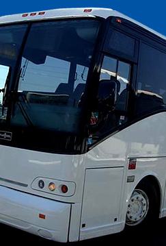 Creative Travel Bus Tours